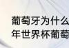 葡萄牙为什么不让c罗上场？（2002年世界杯葡萄牙的首发门将是谁？）