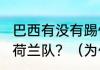 巴西有没有踢假球，2010世界杯对阵荷兰队？（为什么说巴西在踢假球？）