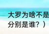 大罗为啥不是球王？（巴西大罗小罗分别是谁？）