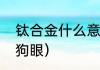 钛合金什么意思网络用语？（钛合金狗眼）