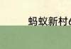 蚂蚁新村6月5日答案最新