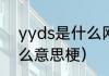 yyds是什么网络用语？（yyds是什么意思梗）