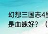 幻想三国志4里的鹰涯是学鹰魂好还是血魄好？（幻想三国志4外传）