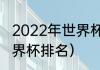 2022年世界杯各队排名？（卡塔尔世界杯排名）