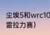 尘埃5和wrc10哪个好玩？（科林麦克雷拉力赛）