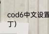 cod6中文设置？（使命召唤6中文补丁）