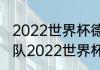 2022世界杯德国队实力排名？（德国队2022世界杯阵容）