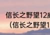 信长之野望12威力加强版怎样建巨城？（信长之野望12革新威力加强版）