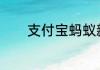 支付宝蚂蚁新村5月18日最新