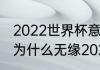 2022世界杯意大利出局原因（意大利为什么无缘2022世界杯）