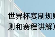 世界杯赛制规则详细介绍（世界杯规则和赛程讲解）