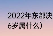 2022年东部决赛是哪两个队（今年76岁属什么）