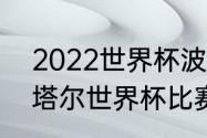 2022世界杯波兰得分纪录（2022卡塔尔世界杯比赛结果）