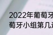 2022年葡萄牙进入世界杯了吗（葡萄牙小组第几进入世界杯）