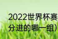 2022世界杯赛况（2022世界杯瑞士分进的哪一组）