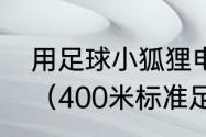 用足球小狐狸电视机写一篇童话作文（400米标准足球场多少亩）