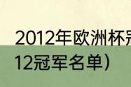 2012年欧洲杯冠亚军比分（欧洲杯2012冠军名单）