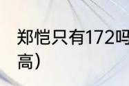 郑恺只有172吗（前任3郑恺和丁点身高）