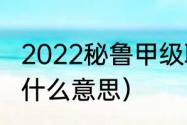 2022秘鲁甲级联赛赛程（巴依阿瓦提什么意思）