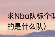 求Nba队标个队徽（NBA队标是熊猫的是什么队）