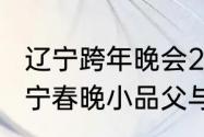 辽宁跨年晚会2020播出时间（贾冰辽宁春晚小品父与子演员名单）