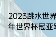 2023跳水世界杯德国站时间（2022年世界杯冠亚军）