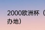 2000欧洲杯（2012年欧洲杯决赛举办地）