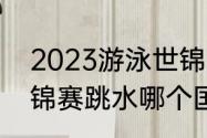 2023游泳世锦赛跳水赛程（2023世锦赛跳水哪个国家举办）