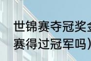 世锦赛夺冠奖金是多少（苏炳添世锦赛得过冠军吗）