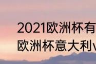 2021欧洲杯有哪些国家参加（2021欧洲杯意大利vs比利时结果）