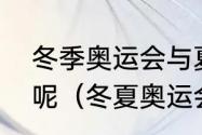 冬季奥运会与夏季奥运会有什么不同呢（冬夏奥运会间隔规律）