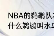 NBA的鹈鹕队本来的名字是什么（为什么鹈鹕叫水鸟队）