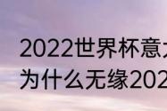 2022世界杯意大利出局原因（意大利为什么无缘2022世界杯）