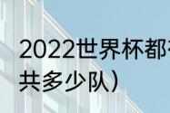 2022世界杯都有哪些球队（世界杯一共多少队）