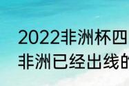 2022非洲杯四强有谁（2022世界杯非洲已经出线的球队）