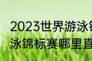 2023世界游泳锦标赛举办地（世界游泳锦标赛哪里直播）