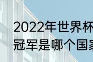 2022年世界杯冠亚军（2022世界杯冠军是哪个国家的）