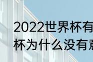 2022世界杯有意大利吗（2022世界杯为什么没有意大利）