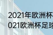 2021年欧洲杯主办国是哪个国家（2021欧洲杯足球锦标赛观后感）