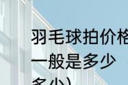 羽毛球拍价格羽毛球拍十大品牌价格一般是多少（每副羽毛球拍的价钱是多少）