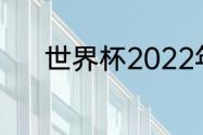 世界杯2022年开幕式哪里能看