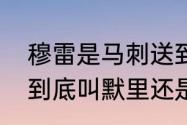 穆雷是马刺送到掘金的吗（掘金控卫到底叫默里还是穆雷）