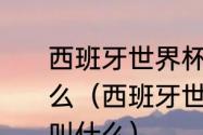 西班牙世界杯德国队七号中文名叫什么（西班牙世界杯德国队七号中文名叫什么）