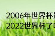 2006年世界杯最终排名（乌克兰晋级2022世界杯了吗）