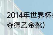 2014年世界杯金靴奖是谁（谢晖哪年夺德乙金靴）