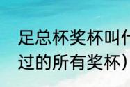 足总杯奖杯叫什么名字（切尔西获得过的所有奖杯）