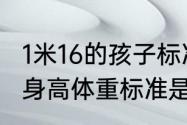 1米16的孩子标准体重多少（两岁宝宝身高体重标准是多少）