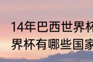 14年巴西世界杯巴西队阵容（2014世界杯有哪些国家参赛）