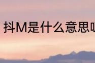 抖M是什么意思呀（抖m是什么体质）