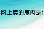 网上卖的鹿肉是什么肉（鹿肉的做法）